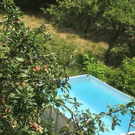 Canegreca Villa Mattarana
